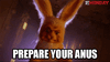 IMG_4738.gif