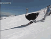 IMG_8026.gif