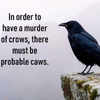 1738512329276.png
