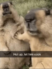 1788363759885.png