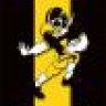 hawkeyetillidie