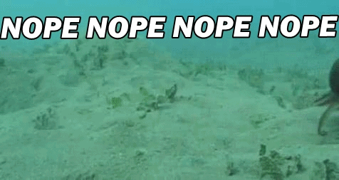 Nope Nope Nope Octopus – Reaction GIFs