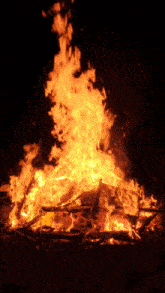 Burning Fire GIFs | Tenor