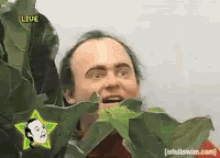 Creepy Guy Behind Plant GIF - Creepy Guy Behind Plant Hide ...