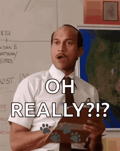 Oh Really GIFs | Tenor